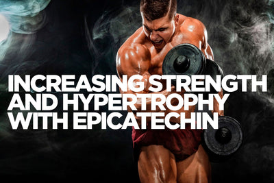 Increasing Strength and Hypertrophy with Epicatechin