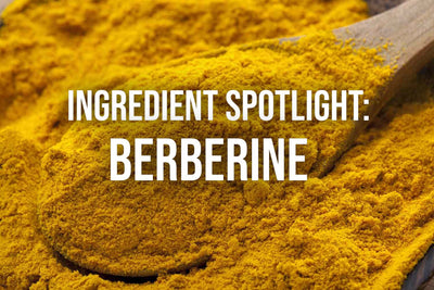 Ingredient Spotlight: Berberine