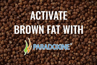 Activate Brown Fat with Paradoxine®
