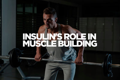 Insulin's Role in Muscle Building