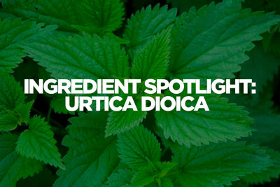Ingredient Spotlight: Urtica Dioica