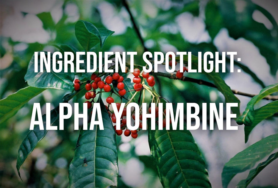 Ingredient Spotlight Alpha Yohimbine Performax Labs