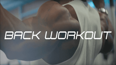 The Best Back Workouts From Team Performax