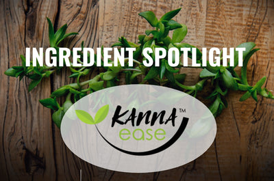 Ingredient Spotlight: KannaEase™