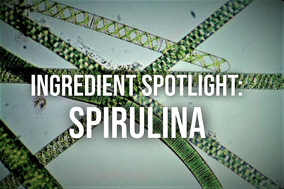Ingredient Spotlight: Spirulina