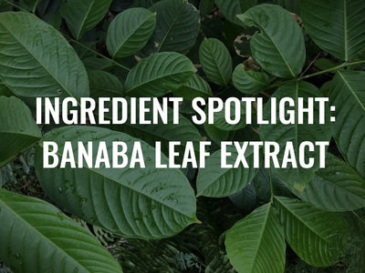 Ingredient Spotlight: Unlocking the Power of Banaba Leaf Extract