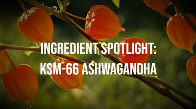 Ingredient Spotlight: KSM-66 Ashwagandha