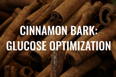 Cinnamon Bark Extract: Glucose Optimization