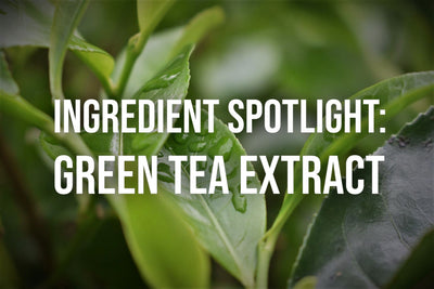 Ingredient Spotlight: Green Tea Extract